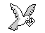 dove with letter